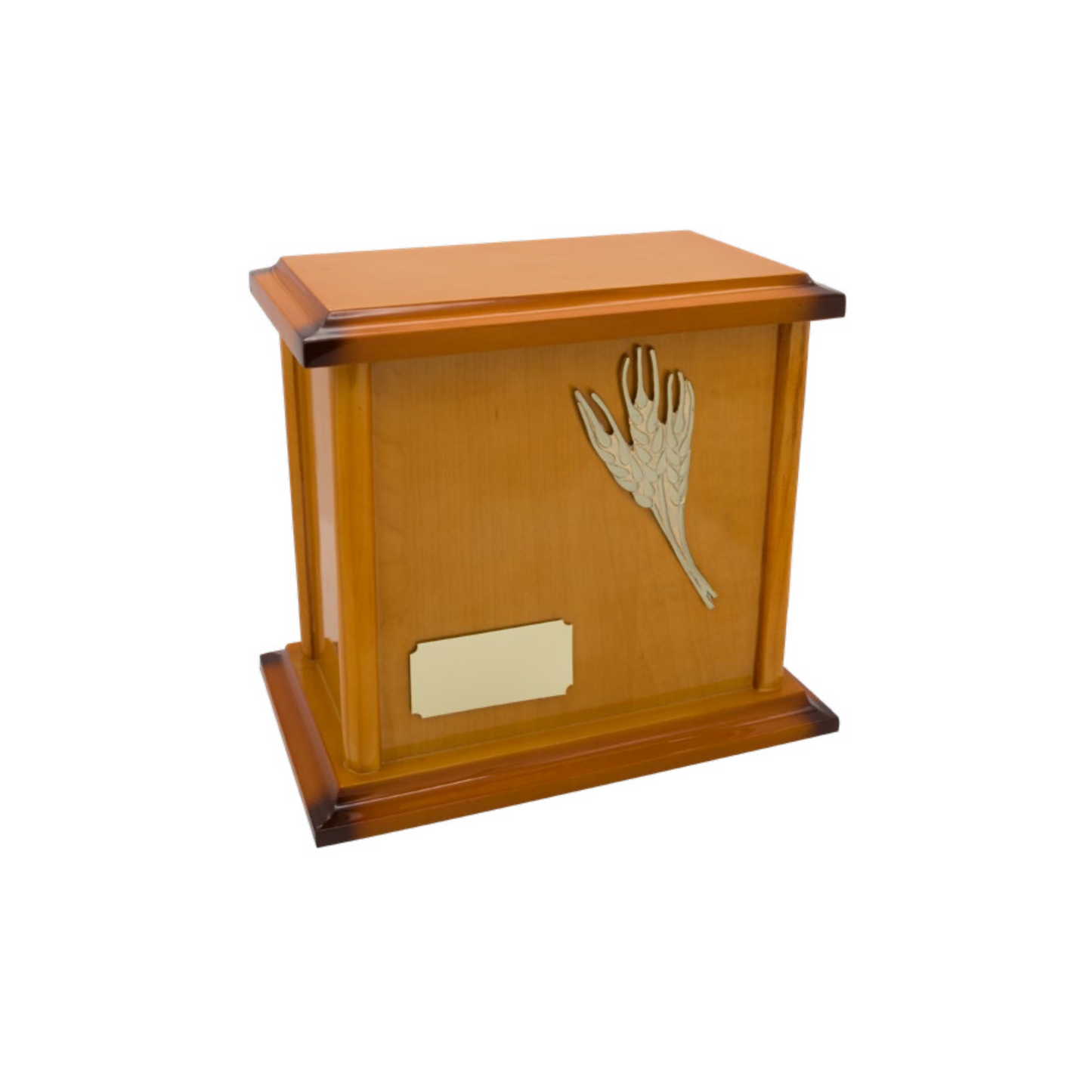 Alternativa Avellana