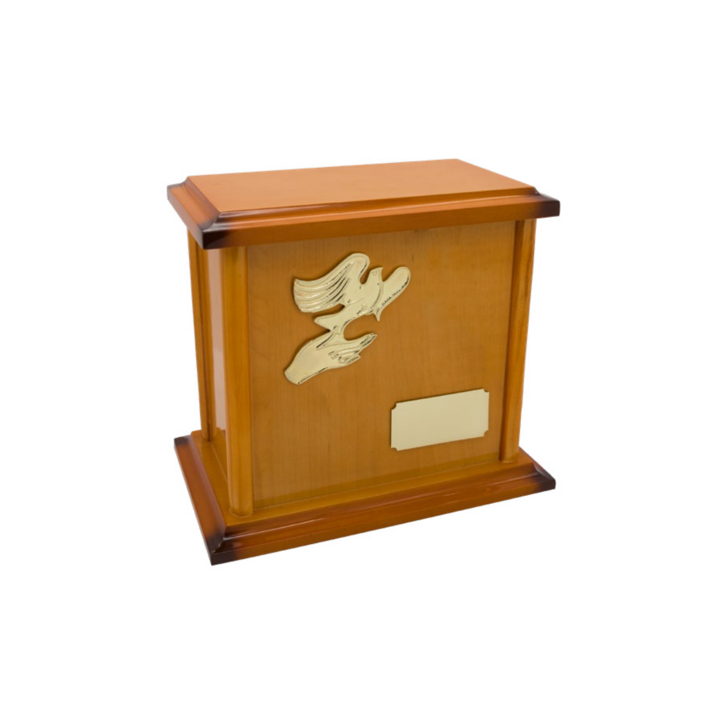 Alternativa Avellana