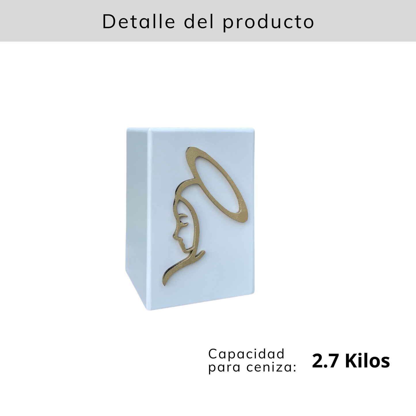 Urna Funeraria Básica Moderna